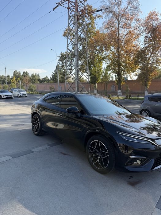 Byd song l full 2024 yil