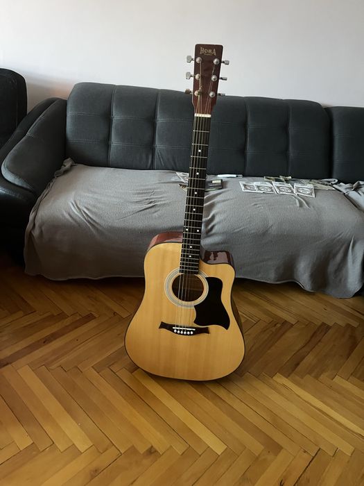 Chitara hora ne folosita