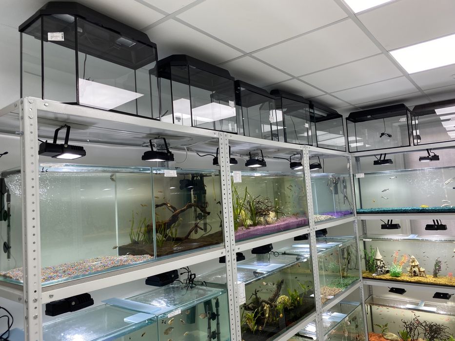 Аквариумы! Большой ассортимент!