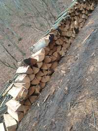 Vând lemne de foc blane cum se vede in imagini cu transport cu tot