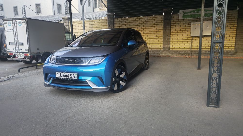 BYD Dolphin knight (найт пакет) 2023 yil. 16.800 km yurgan