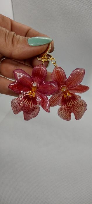 Обеци с естествен цвят на мини орхидея Miltonia.  Цветче с размери 5/4