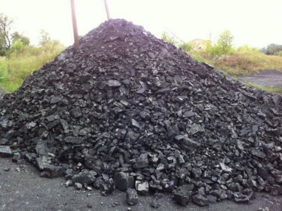 Уголь, щебаркуль, кара жара, Богатырь