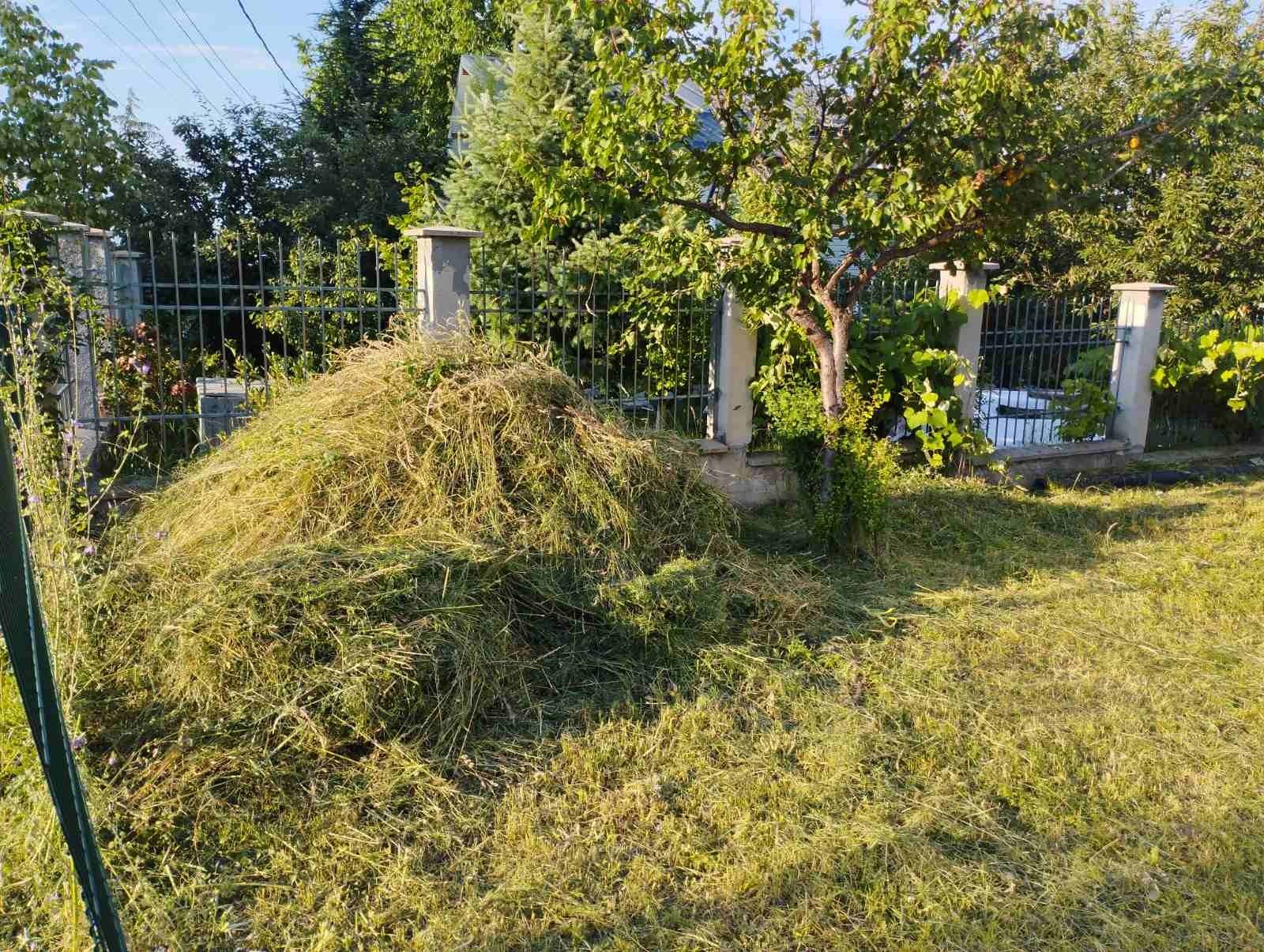 Разчистване на терени косене на трева рязане на дървета/опасни и др