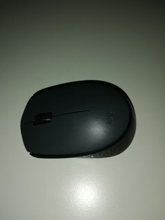 Mouse Logitech M170