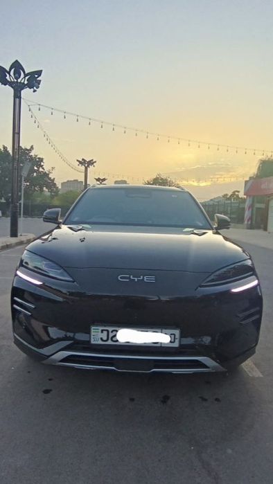 BYD chempion smart 2025