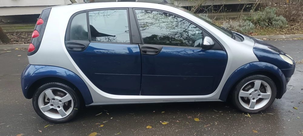 Pinguinul cel fasnet