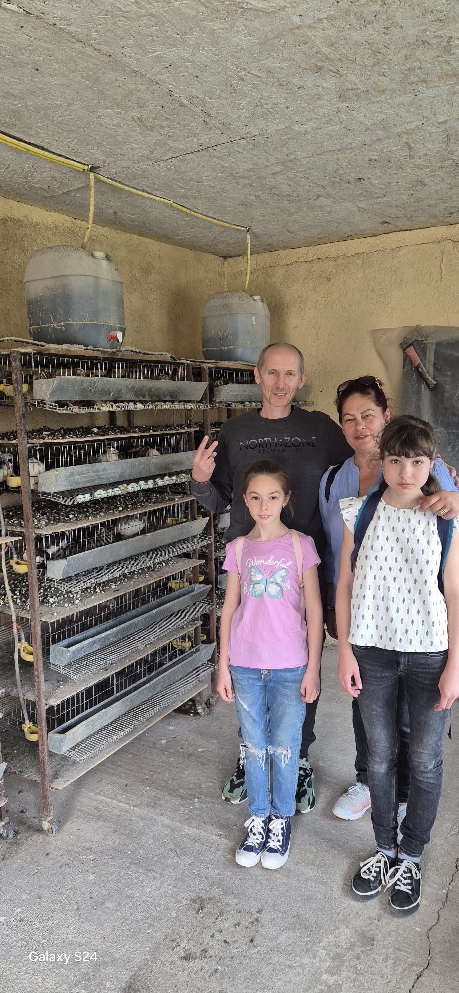 Prepelite și ouă direct de la producator