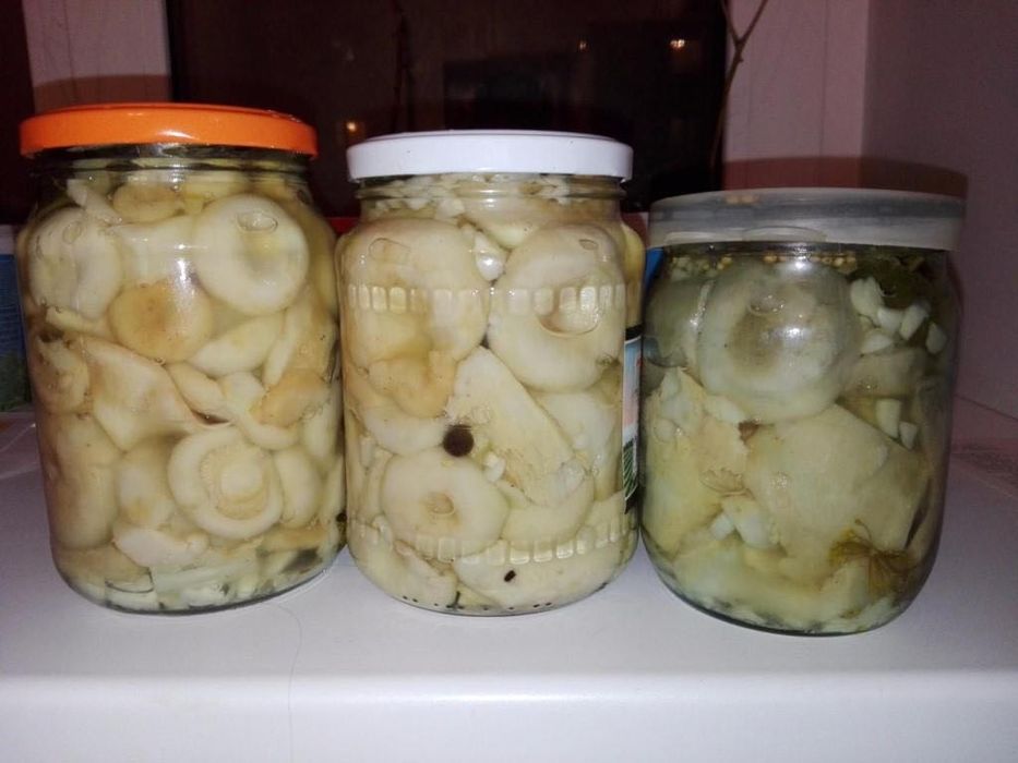 Продам грибы грузди соленые