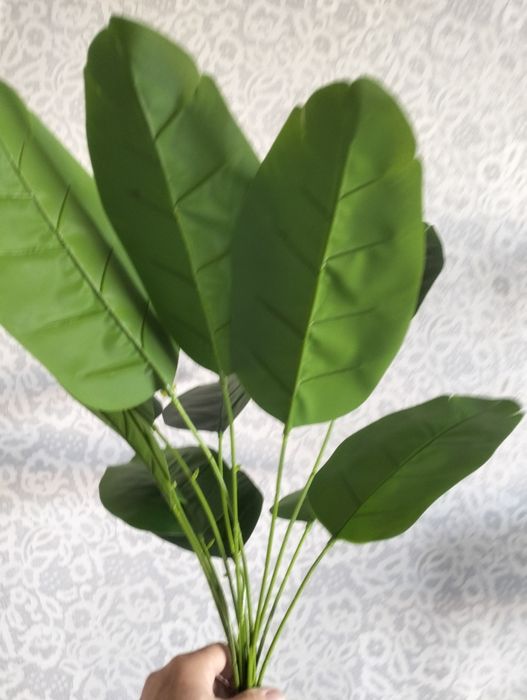 Искусственные цветы фикус ,высота 65см