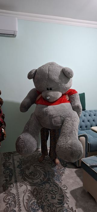 Teddy kotta yangiday paketga orange qoyilgan