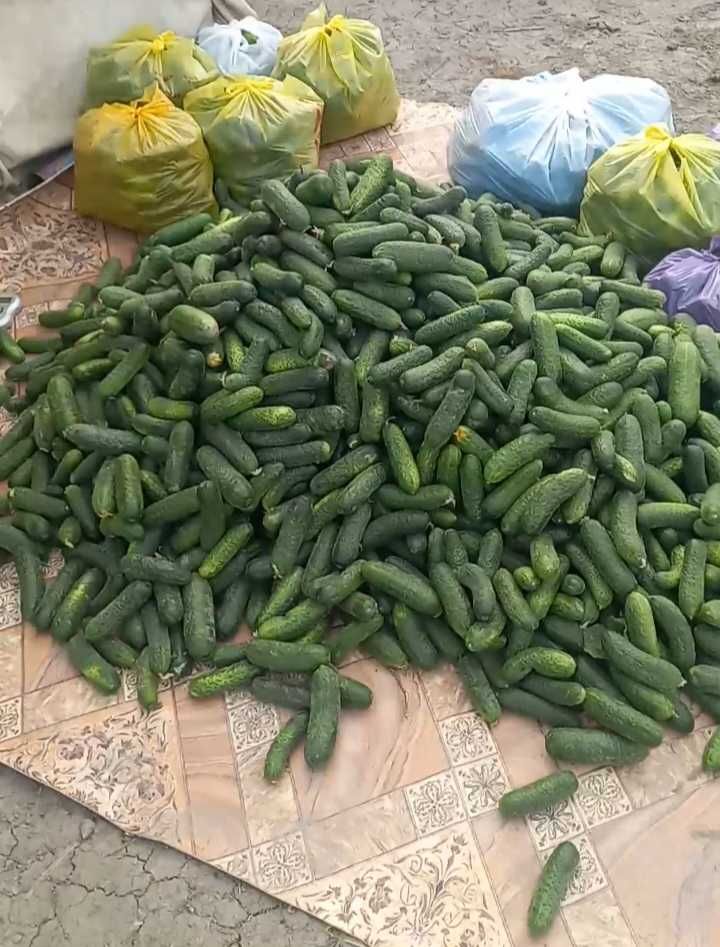 Хрустящие огурцы