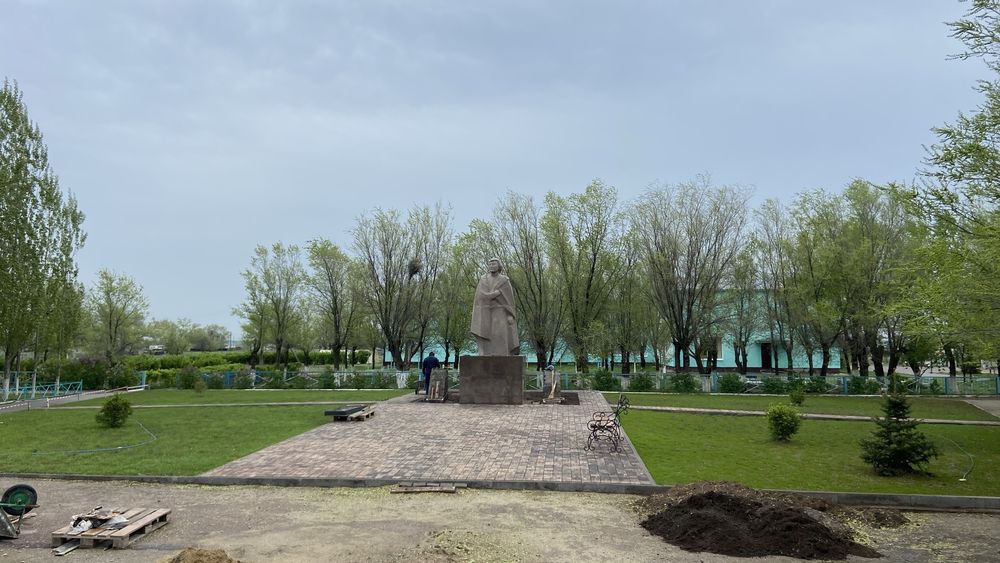 Вяз, газон, ель, тополь, ясень, клень,