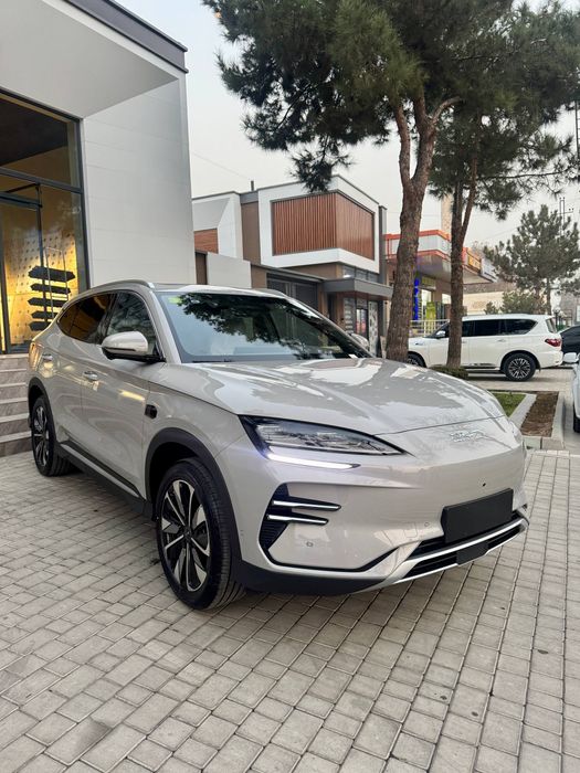 Byd Champion Smart full 605