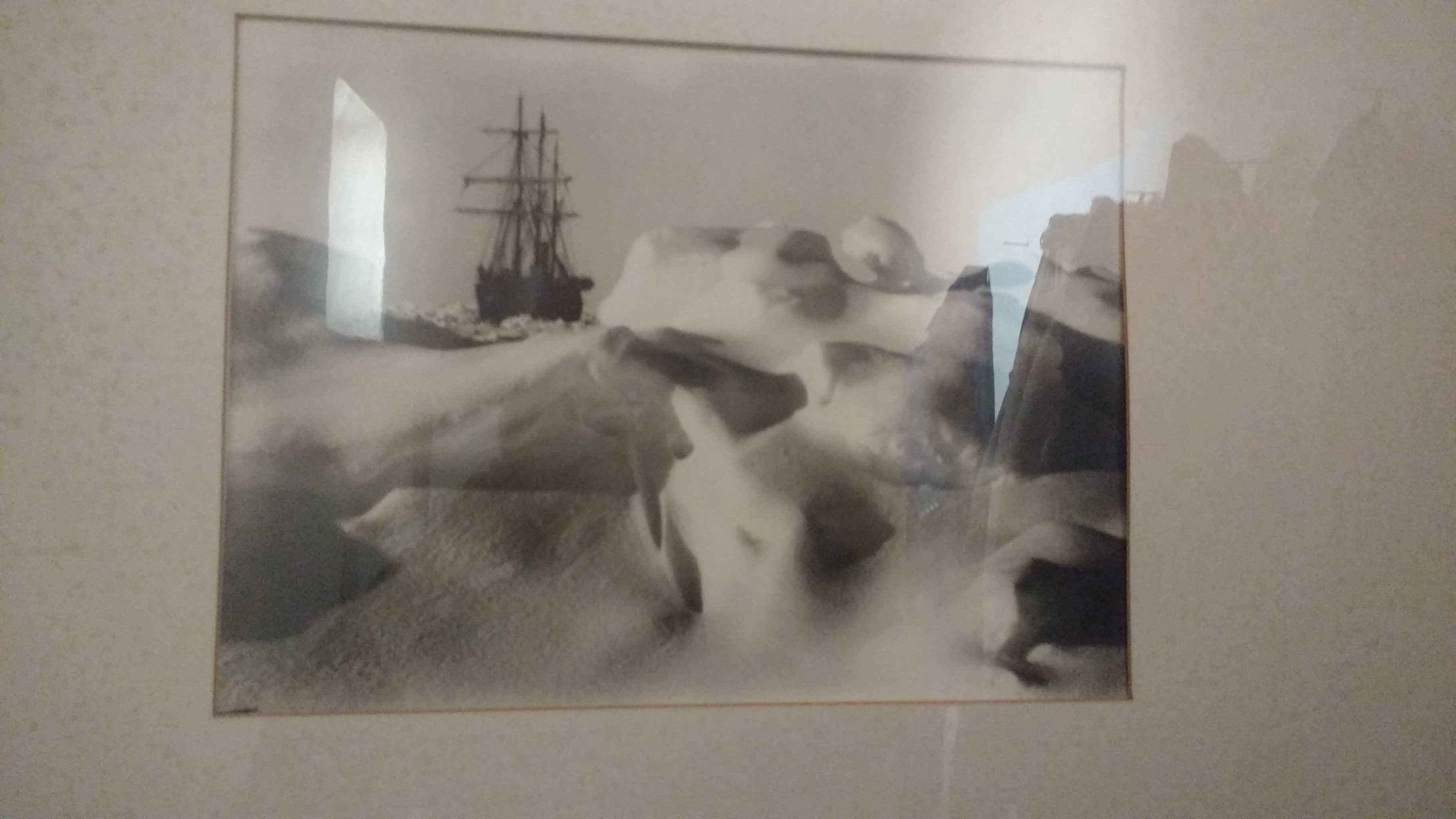 Fotografie Herbert George Ponting 1911 Antarctica expedition