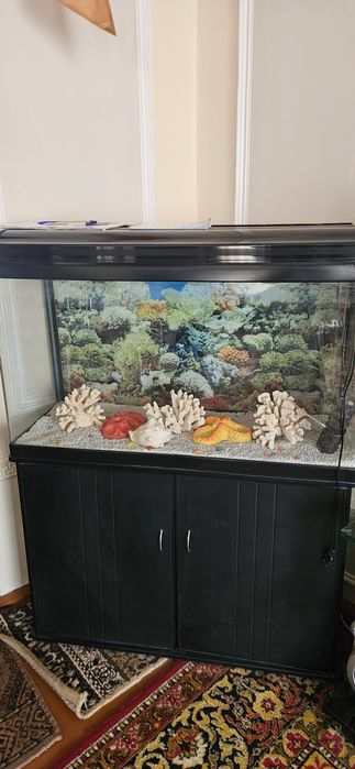 Akvarium hicci nawudagi kafidagi wikastagi xasta joyaw nes