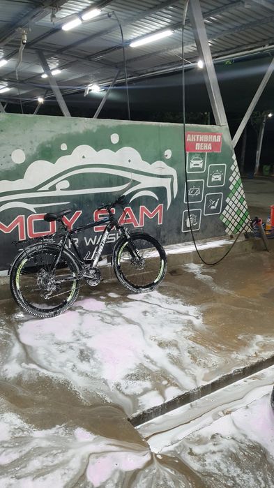 Velik ugonchik pelones