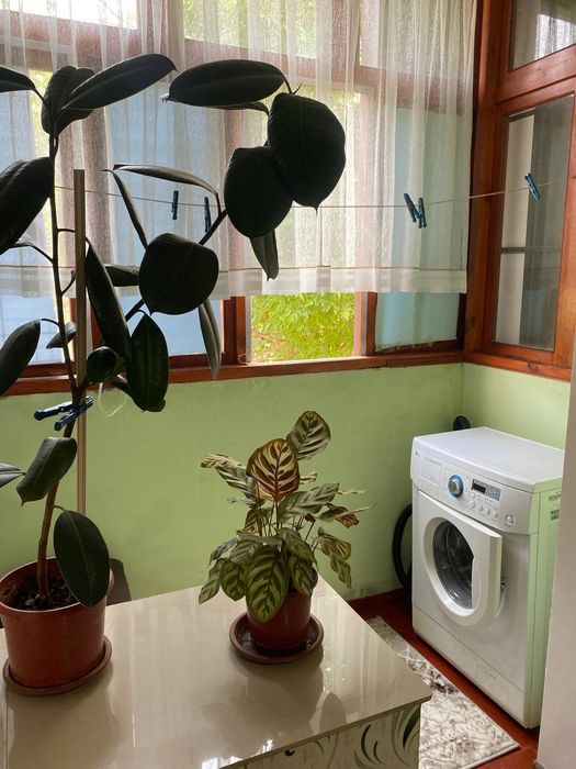 Сдам 1 комнатную Чиланзар 6 Ориентир Корзинка 400 уе