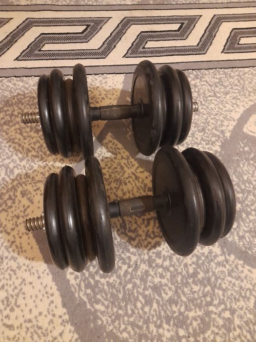 Vind gantere 2 x15kg fonta