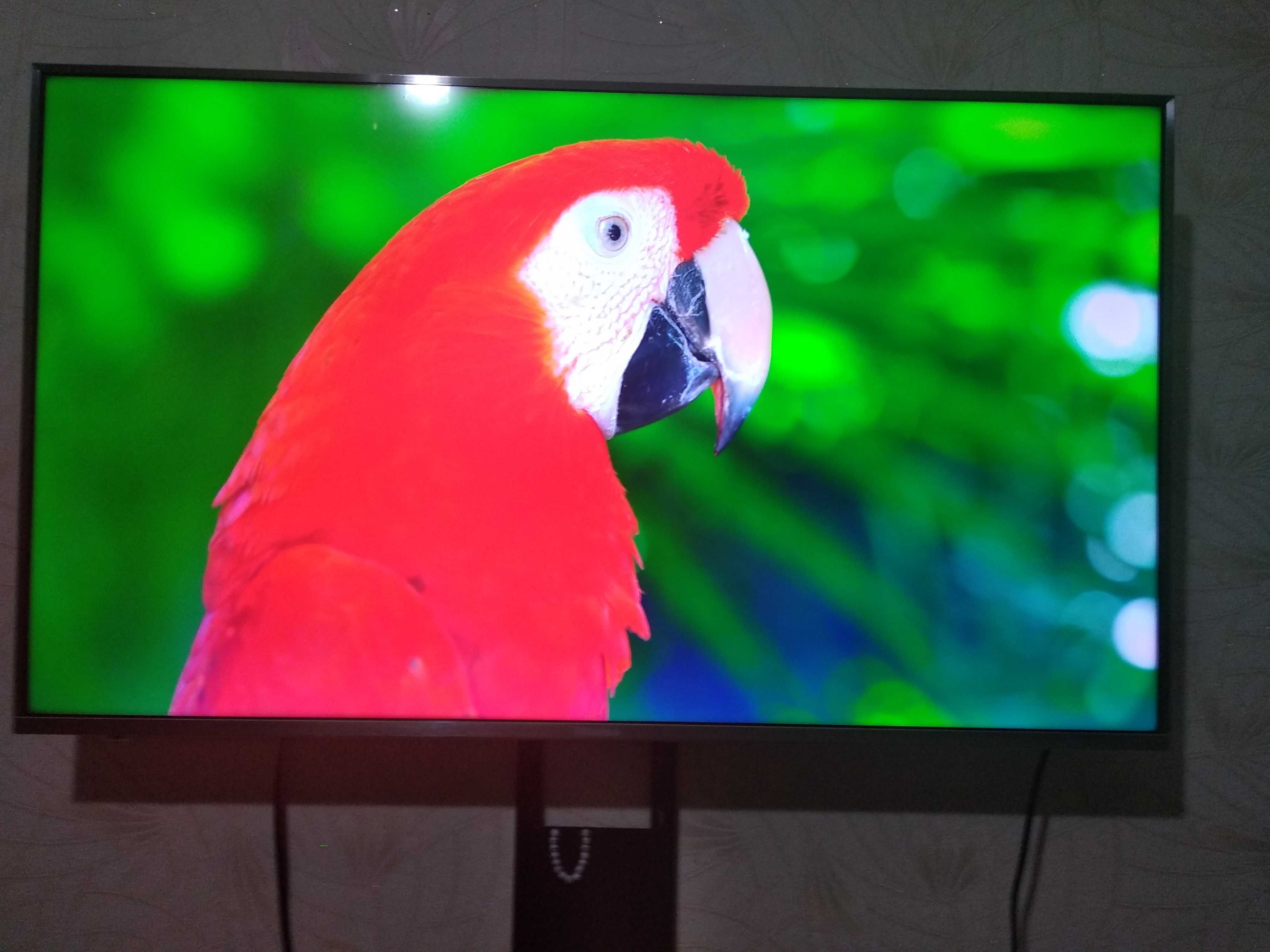 Телевизор hisense h43a6500