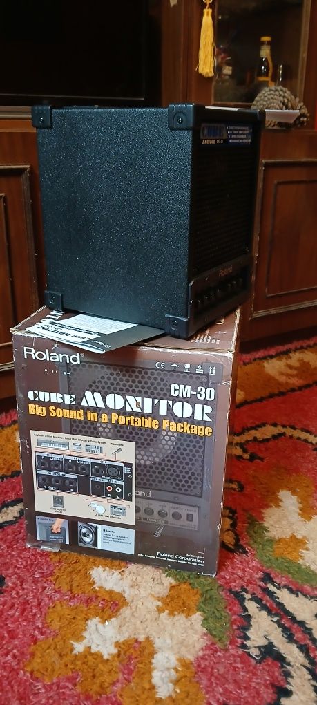 Roland CM-30 cube monitor