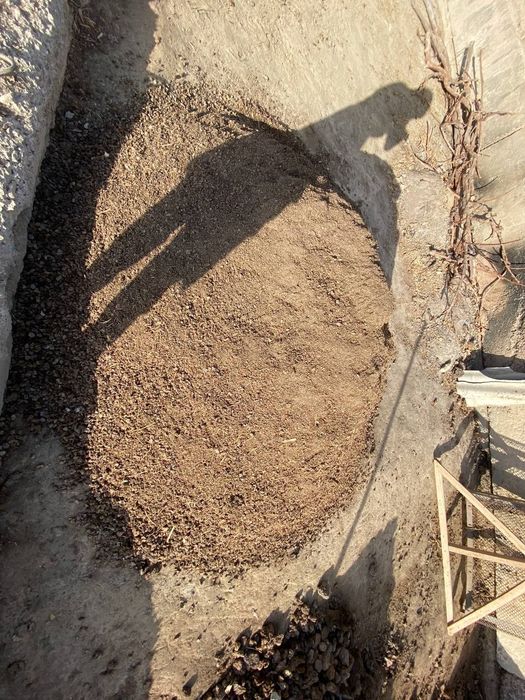 Kuygan poru sotiladi