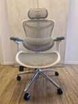 Scaun ergonomic Sihoo Doro C300