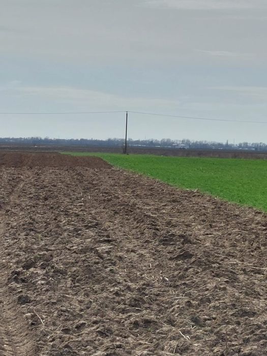 Teren extravilan de vânzare