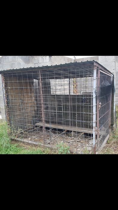 Валер для собак средний размер