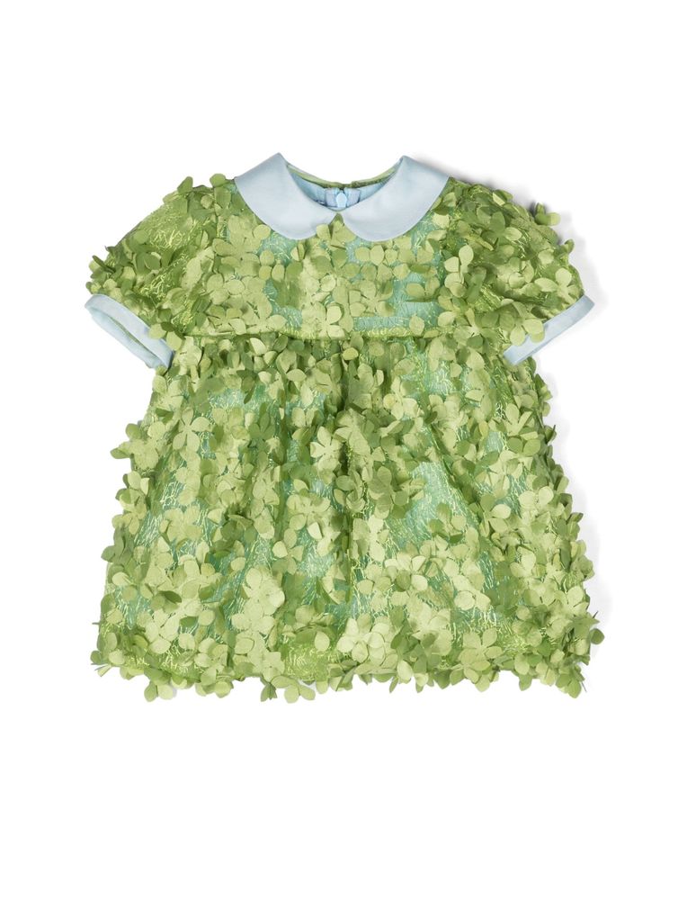 Rochita Mimisol, 1y