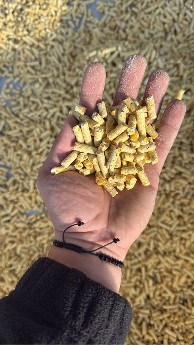 Peleti porumb 2 lei/kg