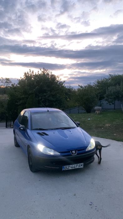 Vand Peugeot 206 din 2003, motor 1.2 benzină