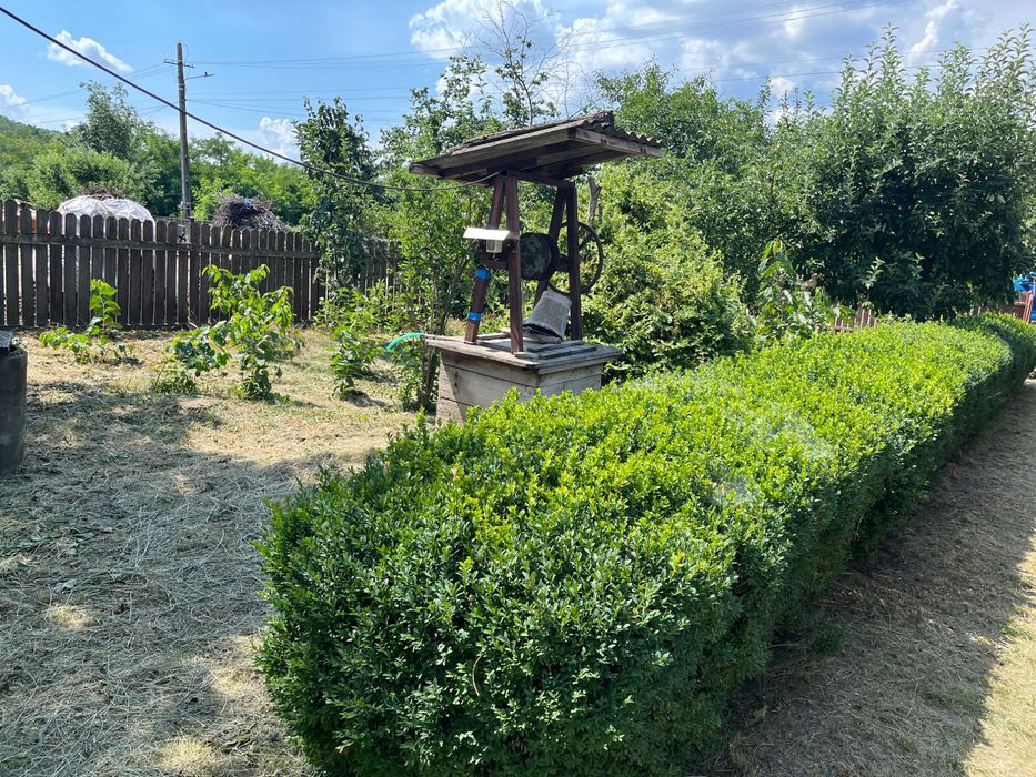 Vând casă+anexe sat bobulesti comuna Ștefănești jud Botoșani