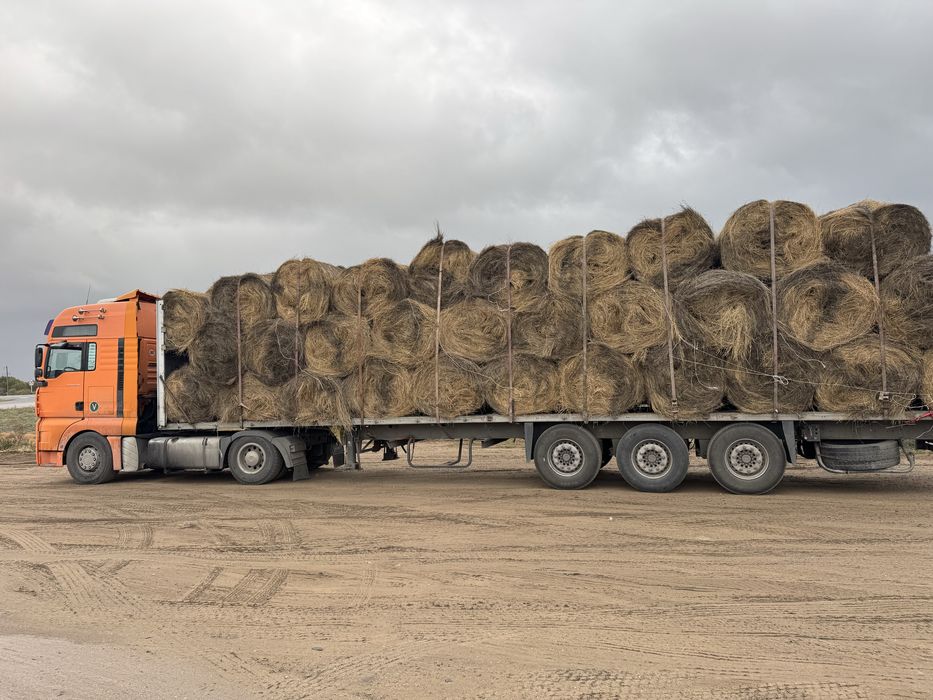 Сено шоп сено шоп продам