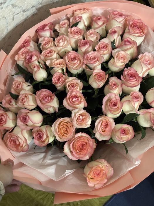 51 роза свежий 20 тыс