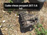 Cutie viteze Peugeot 307 1.6 hdi 2007