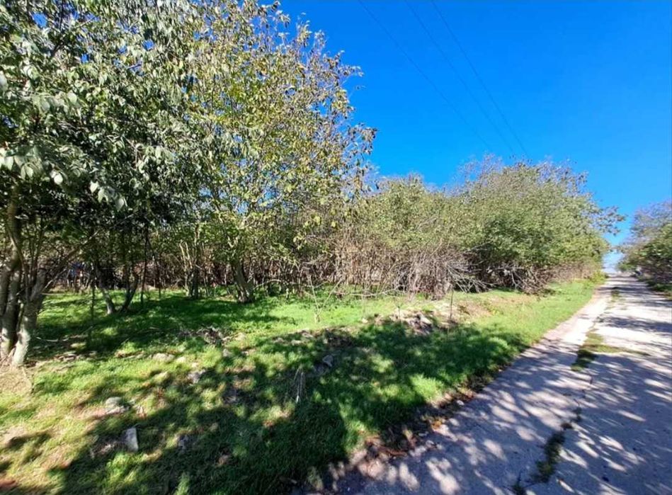 Продава се Къща в Варна, Колхозен пазар - 100 кв.м за 195 €/кв.м - Снимка #8