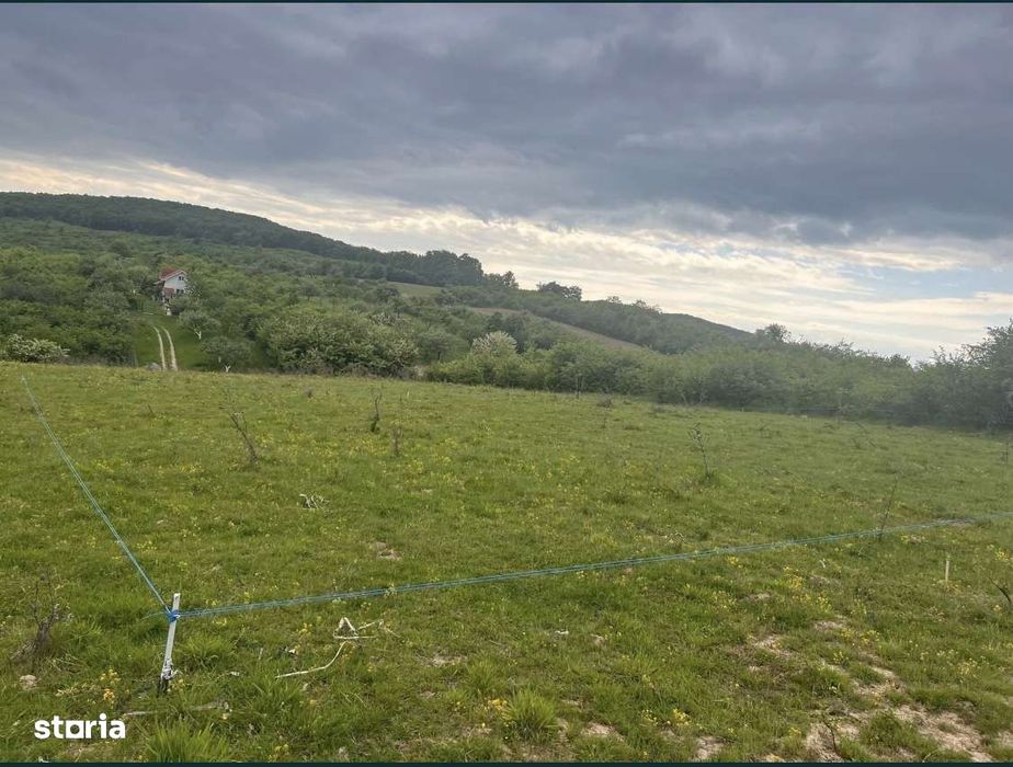 Teren intravilan Bistrita Aleea Trifoiului nr 26R