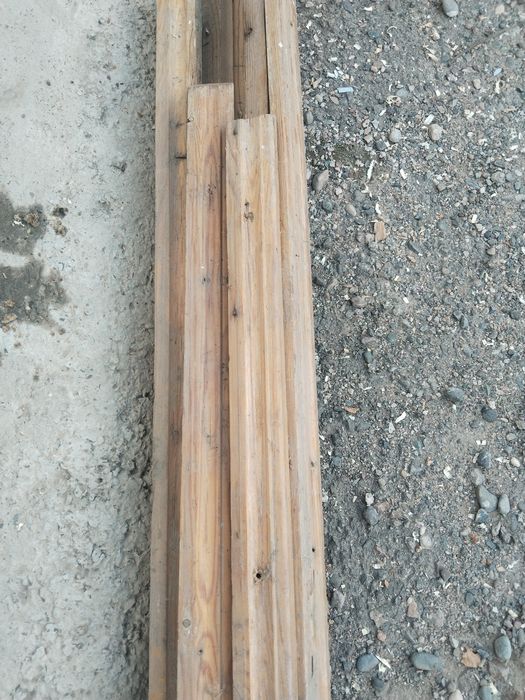 Плунтеса для дома продам