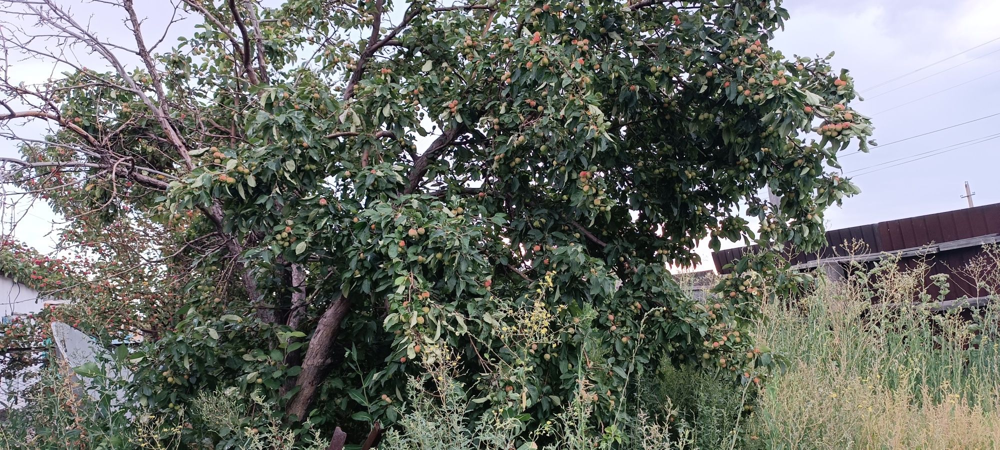 Продам дом на северном.