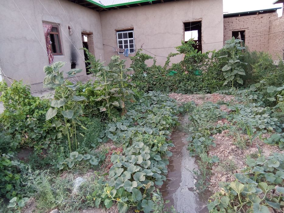 Uy sotiladi Qashqadaryo viloyati kasbi tumani