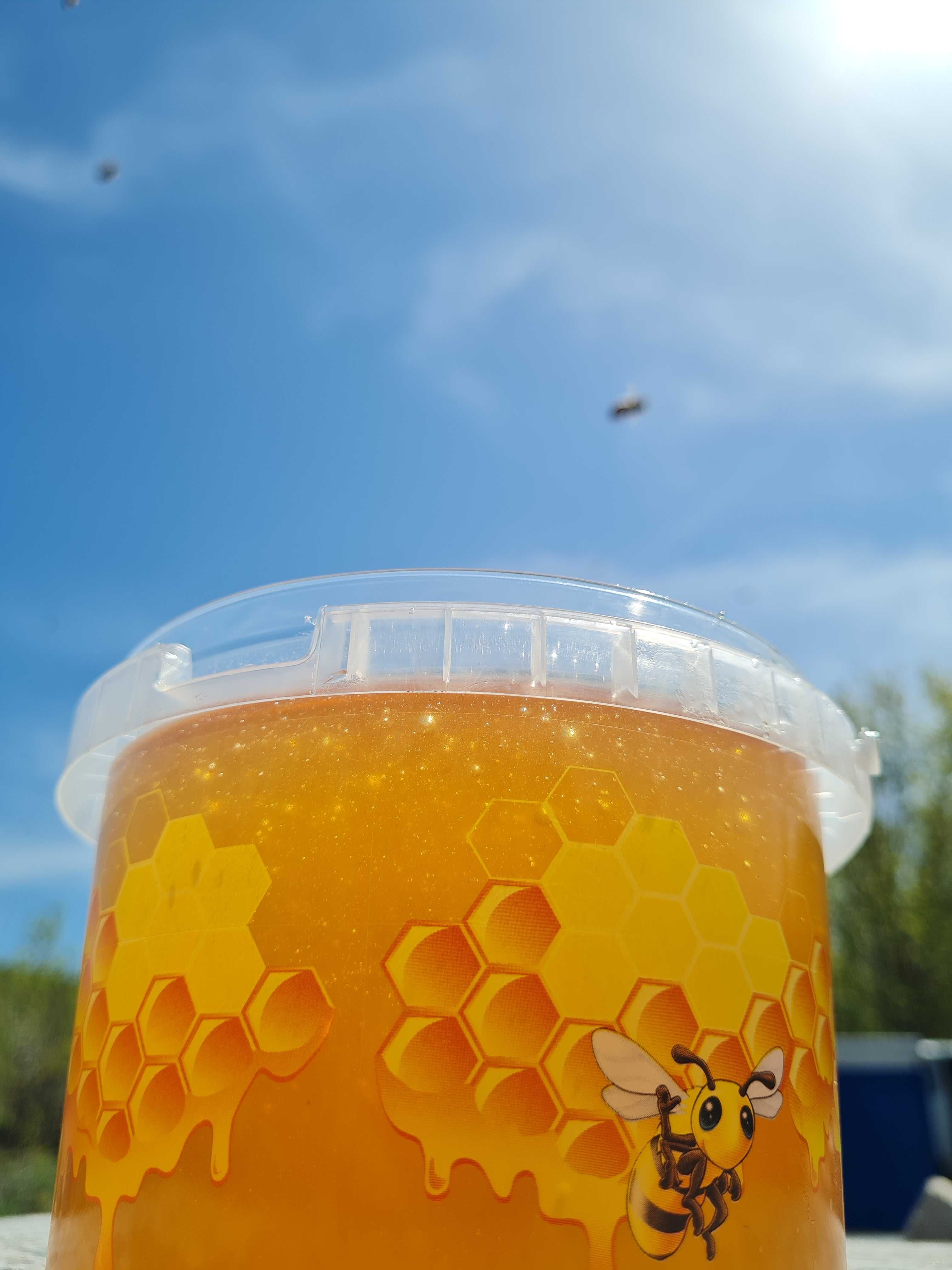 Мёд натуральный с Восточного Казахстана