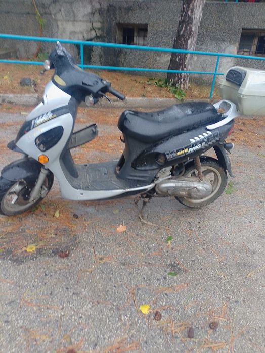 Kreidler RMC sport