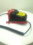 Livram Gratis  Pompa Electrica Pentru Ulei 60w 12v