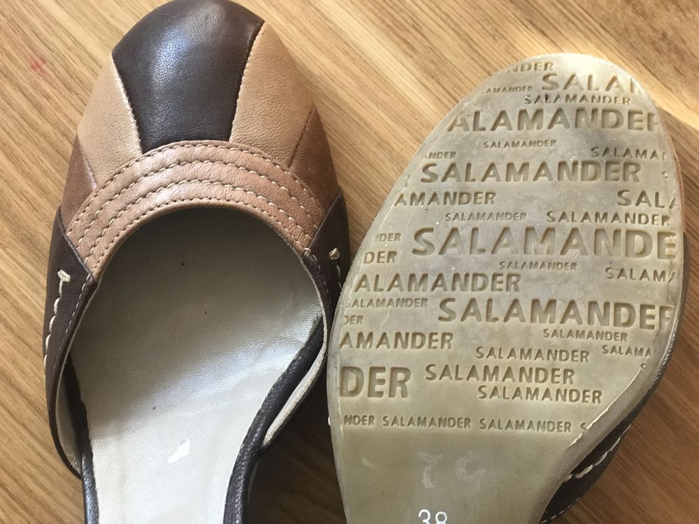 Pantofi Salamander