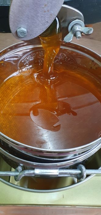 Пчелен мед букет,прополис(клей) и прашец Реколта 2024 г.