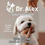 Tuns Câini Ploiești – Salon Dr. Alex Vet (Cantacuzino 99B)