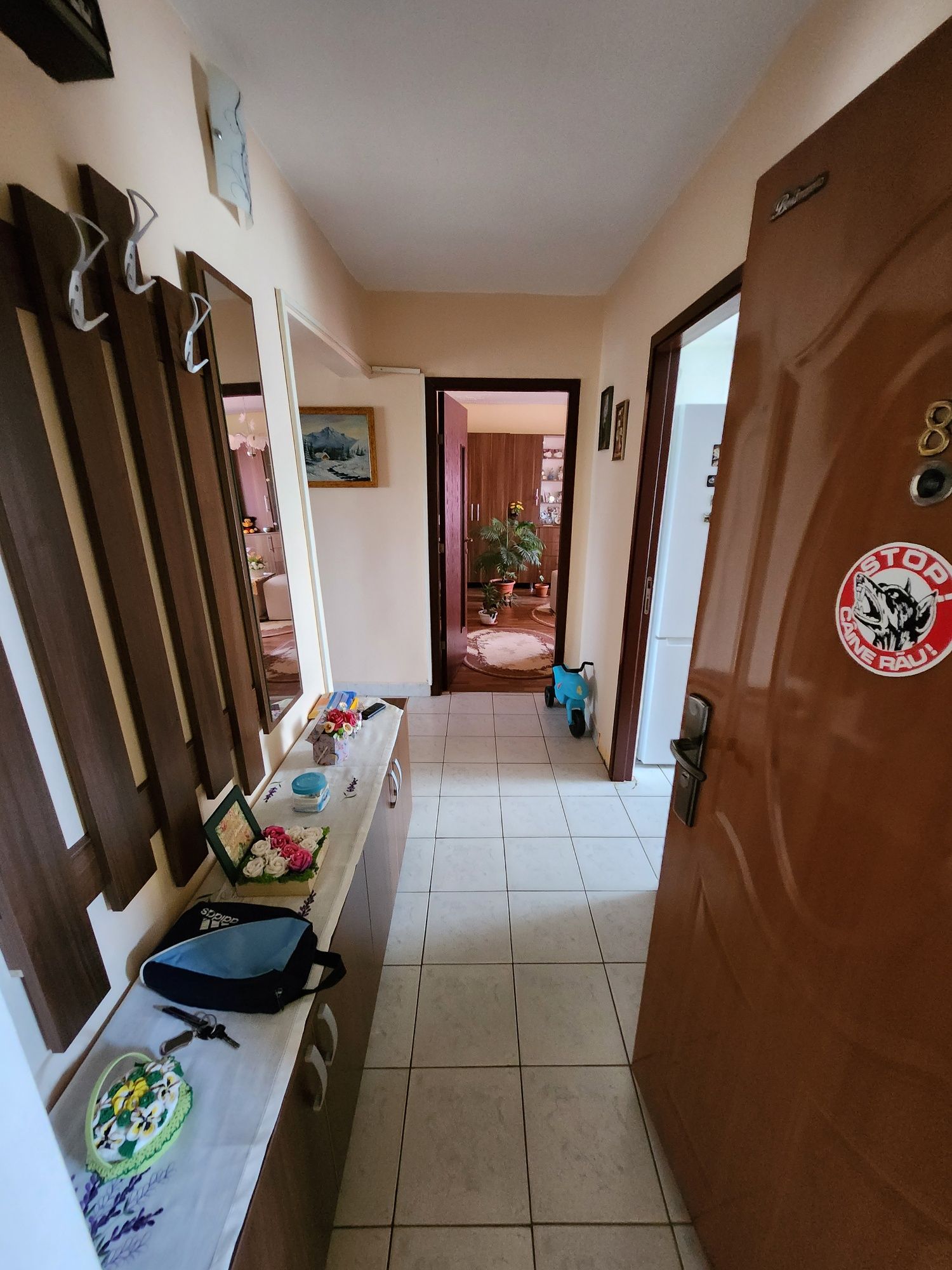 apartamente de vanzare arad