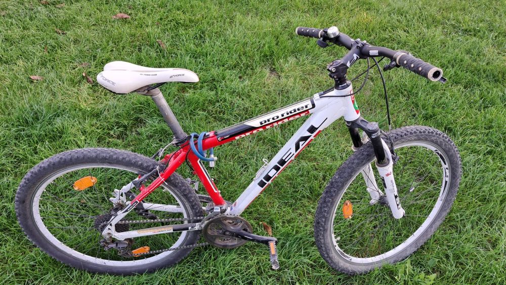 Bicicleta Mountain Bike