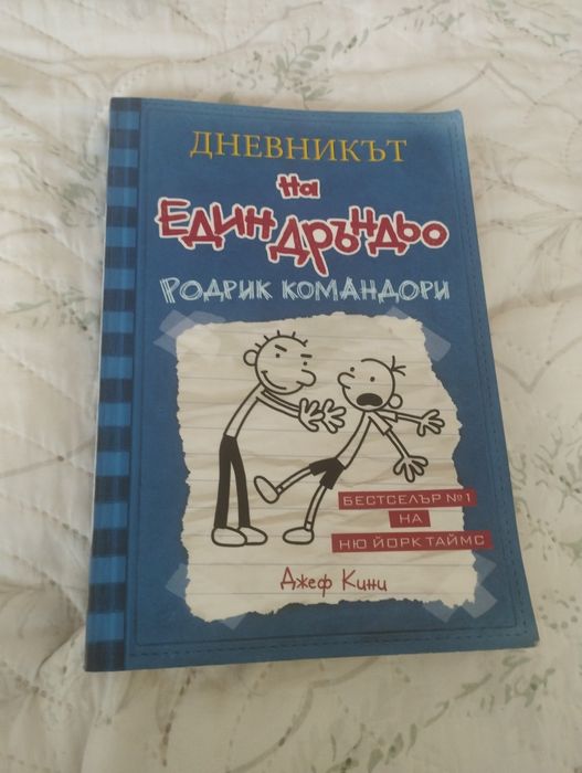 Втора част на поредицата "Дневниците на един Дръндьо"